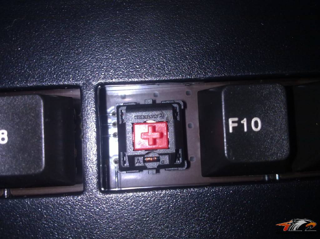 [ͼ˵]G80-1865��G81-1800��ñ