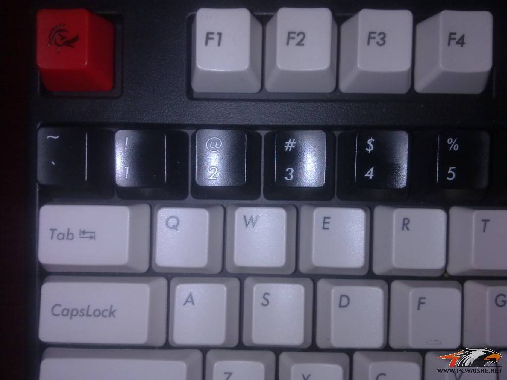 [ͼ˵]G80-1865��G81-1800��ñ