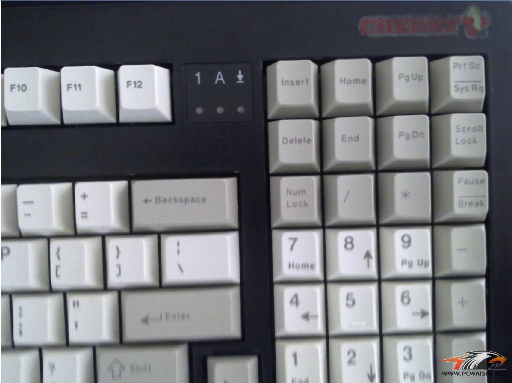[ͼ˵]G80-1865��G81-1800��ñ
