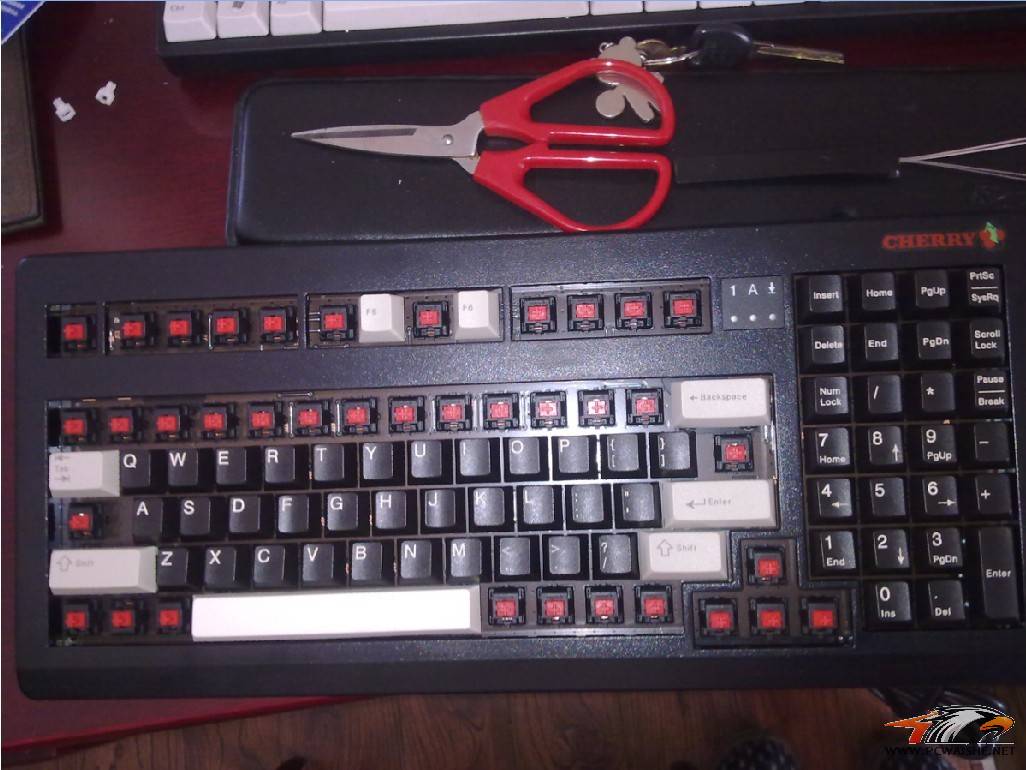 [ͼ˵]G80-1865��G81-1800��ñ