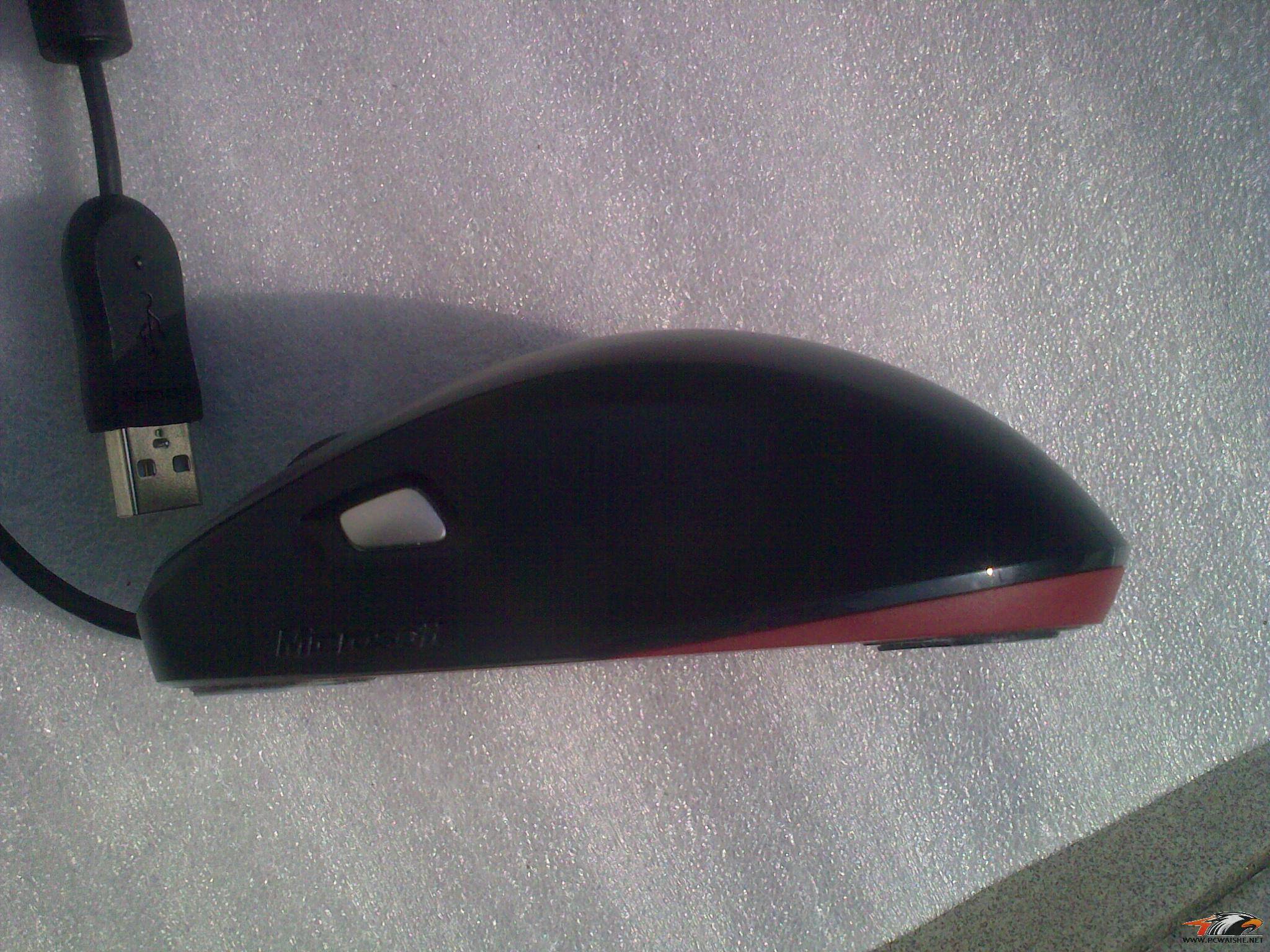 20110325135.jpg