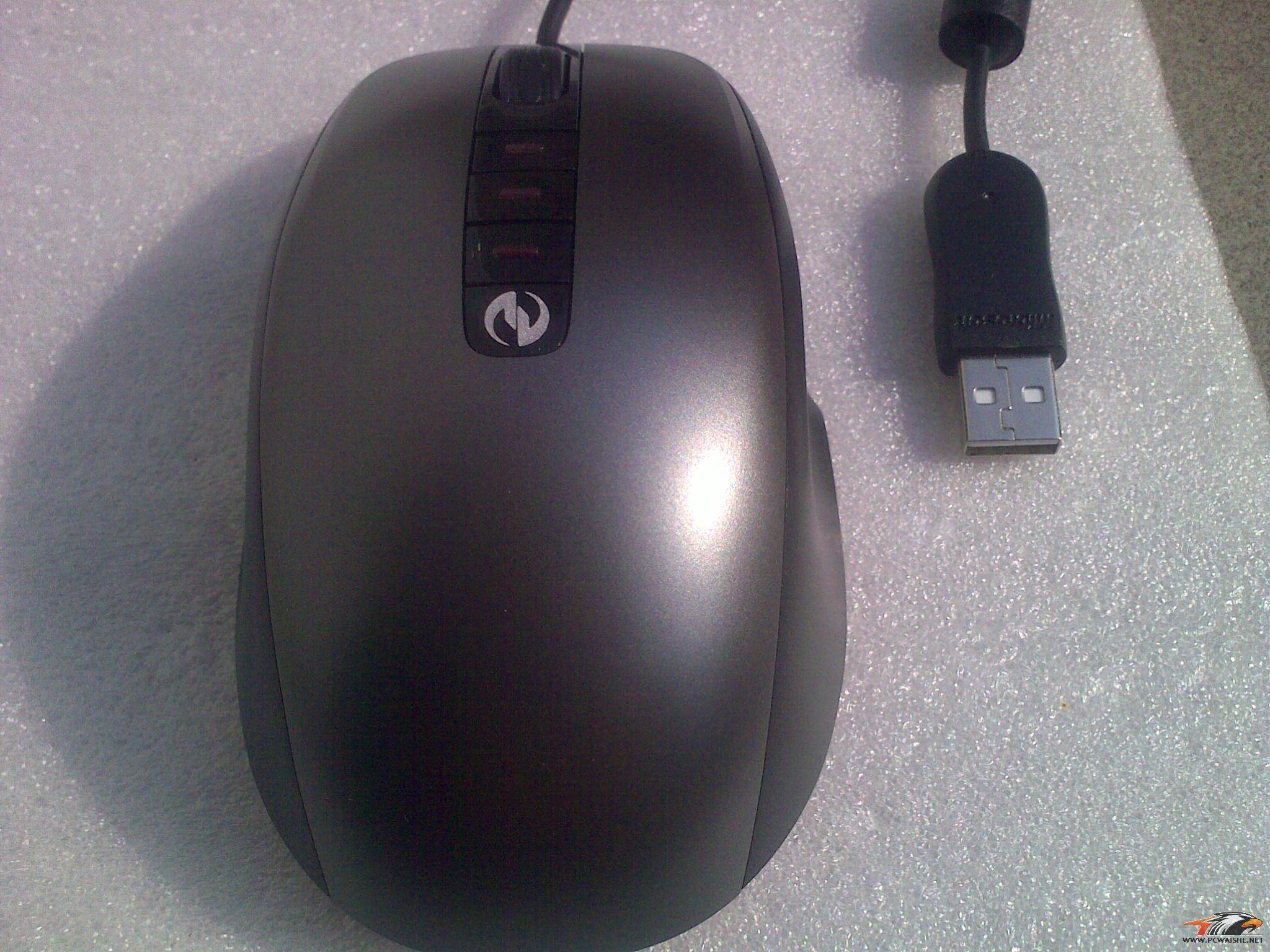 20110325131.jpg