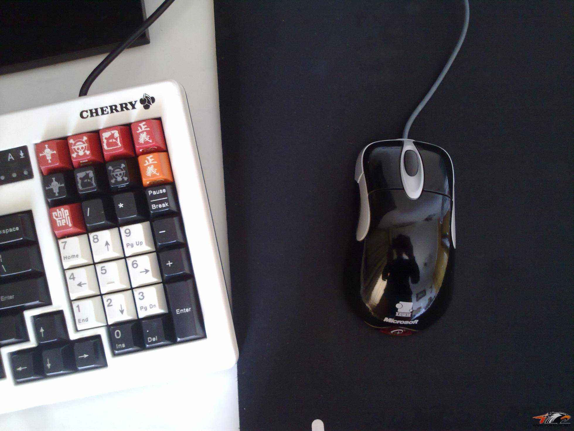 20110325355.jpg