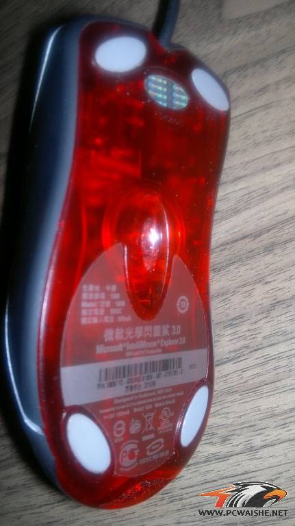 20110325009.jpg