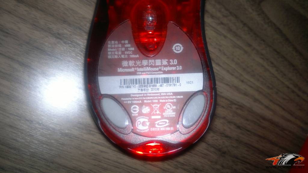 20110325011.jpg