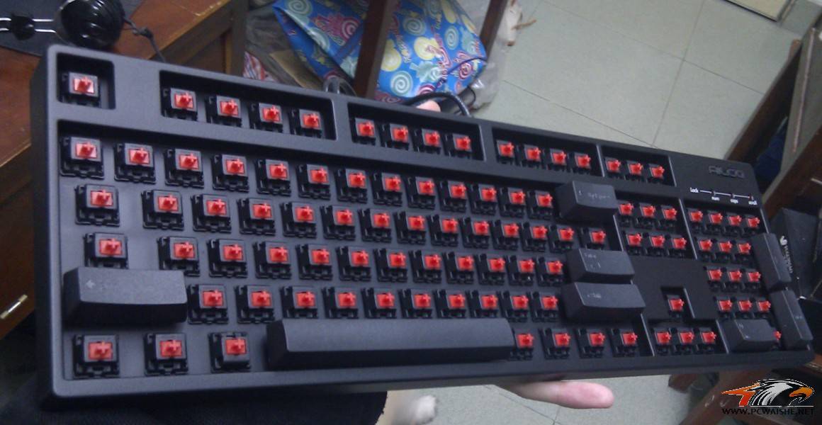 ����è������filcoԭװ����Ҳ����~~~��filco����һ�룬�����һ�ţ�����~~~~