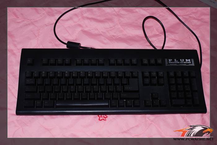 PLUM����.jpg