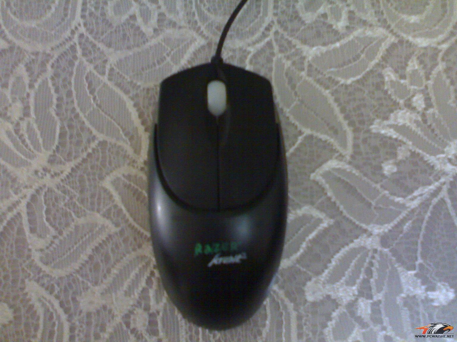 20110326044.jpg