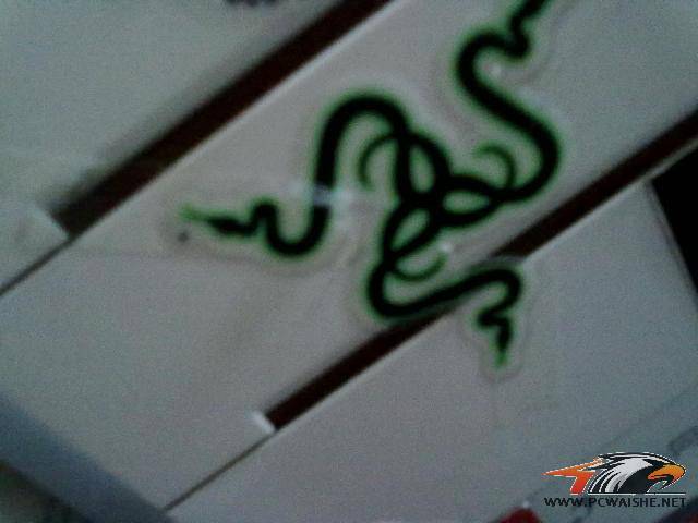 �ѳ� лл�ﶥ��