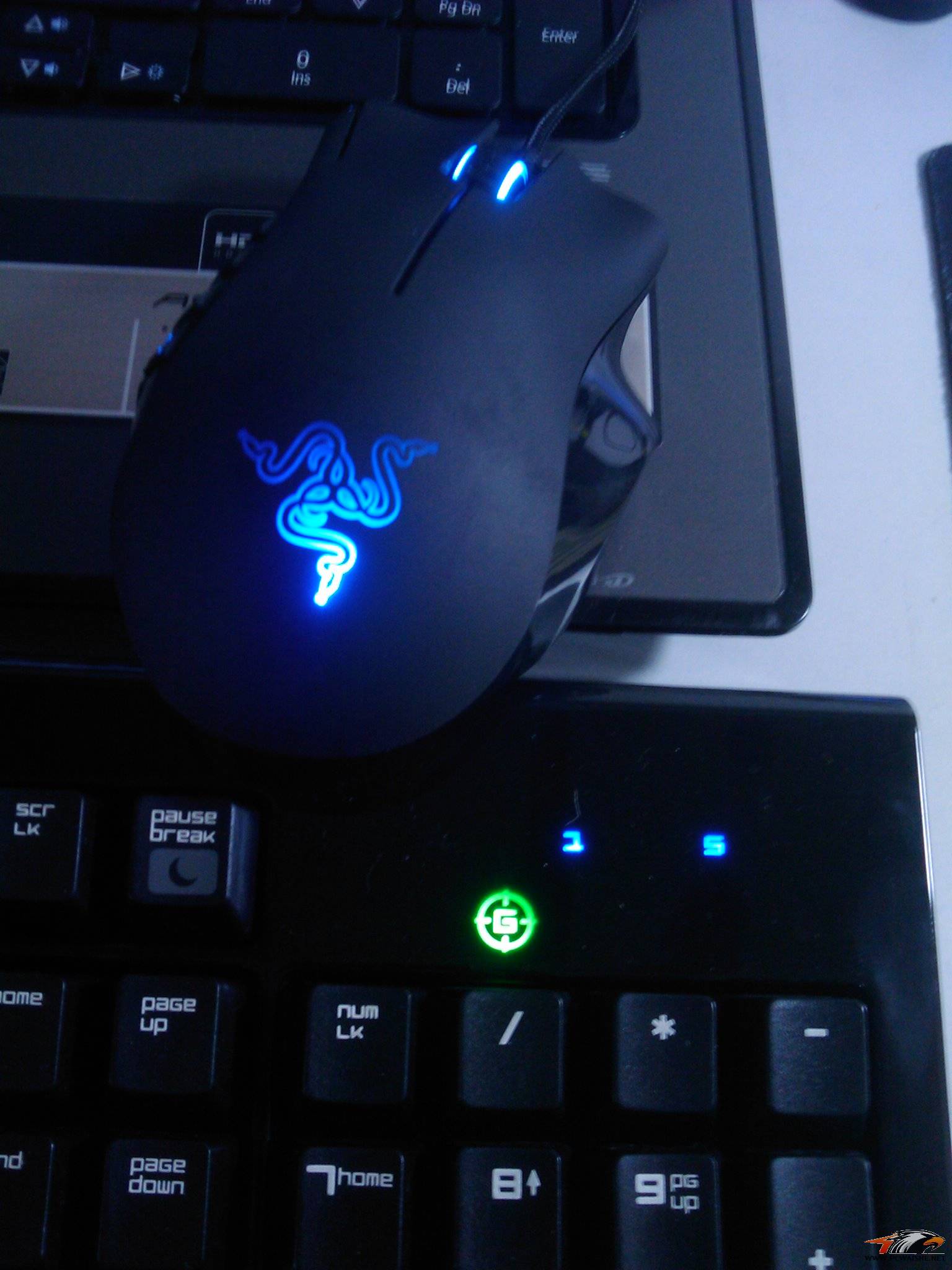 IMAG0042.jpg