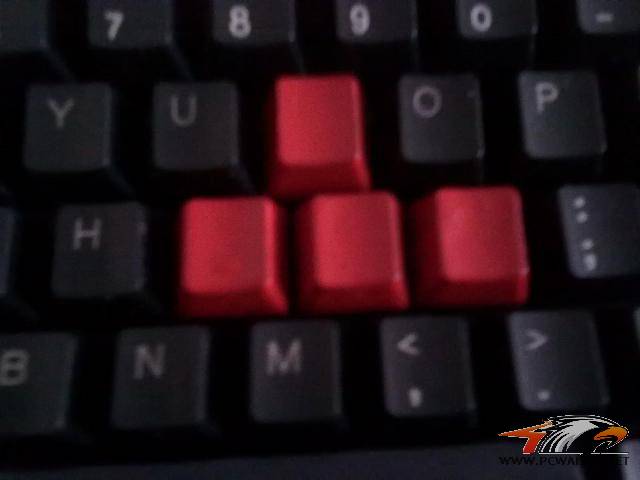 �ѳ� лл�ﶥ~~~~~~~~~
