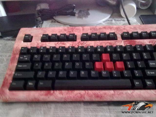 �ѳ� лл�ﶥ~~~~~~~~~