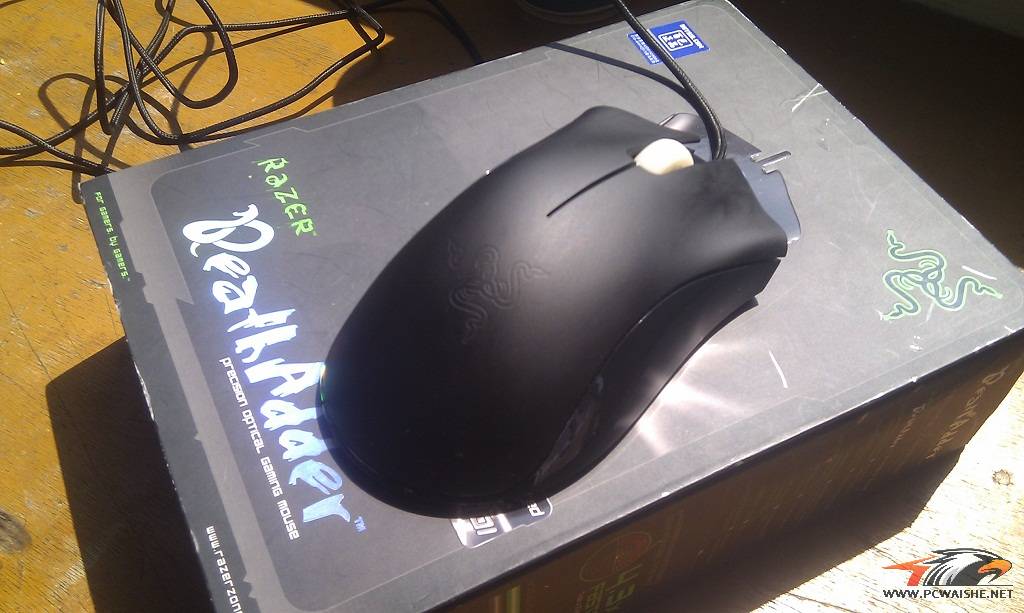 IMAG0080.jpg