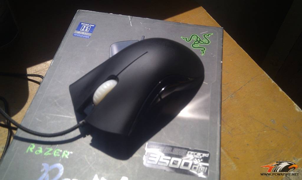 IMAG0082.jpg