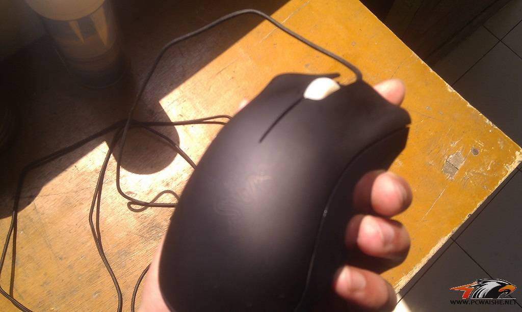 IMAG0078.jpg