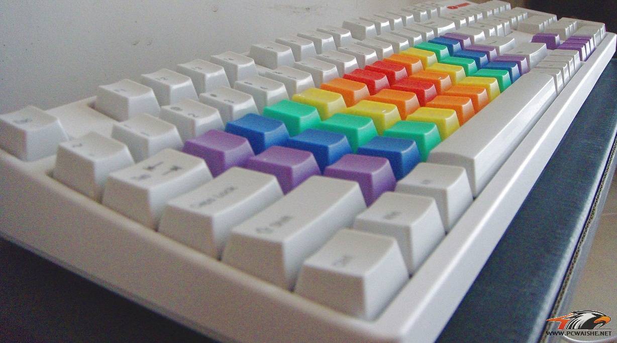 VSԼ̶ͬԲʺ磬ϴ̣ͼ