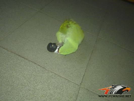���Ƴ��Ķ����������Ϲ����Ըд�ͼ��