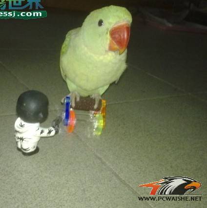 ���Ƴ��Ķ����������Ϲ����Ըд�ͼ��