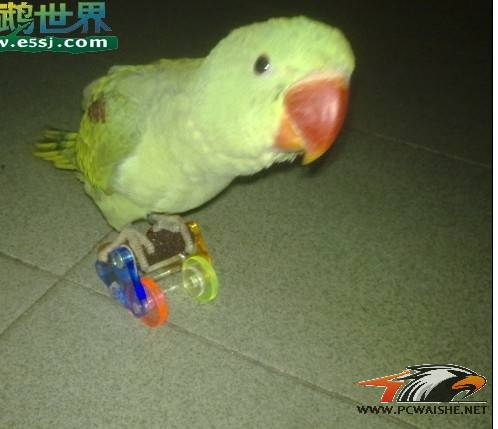 ���Ƴ��Ķ����������Ϲ����Ըд�ͼ��
