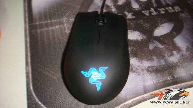 DSC08119.jpg