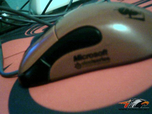 ͼƬ 020.jpg