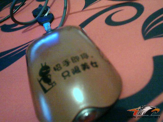 ͼƬ 019.jpg