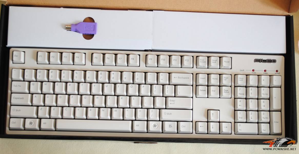 èڶռ̣filcoʥֶ ɫ ڰ~~