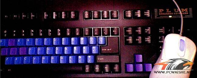PLUM+EC
