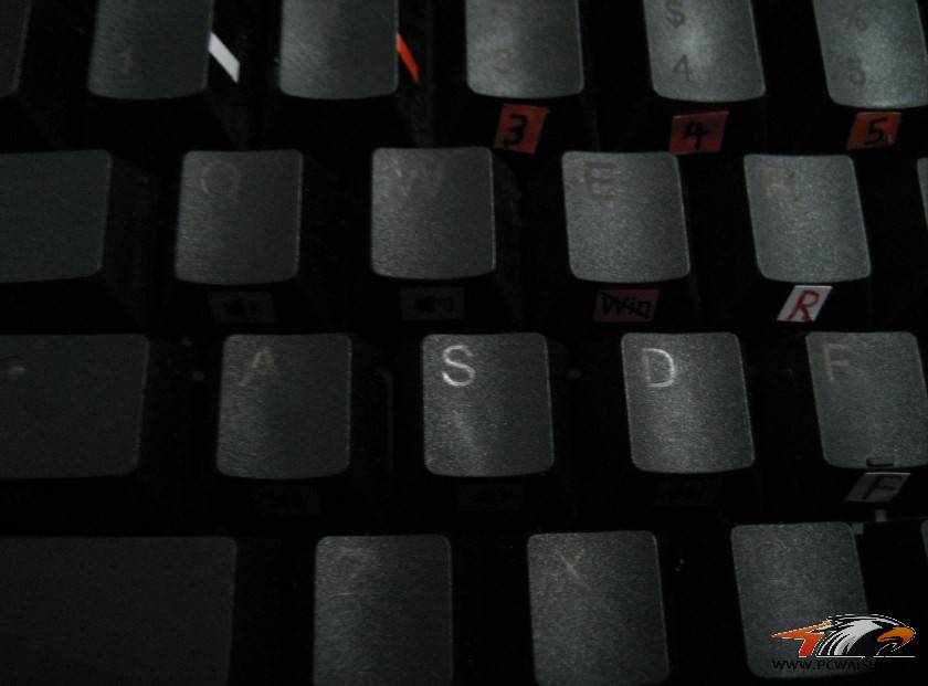 SD��