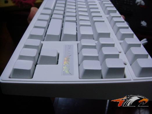 DSC00963.jpg