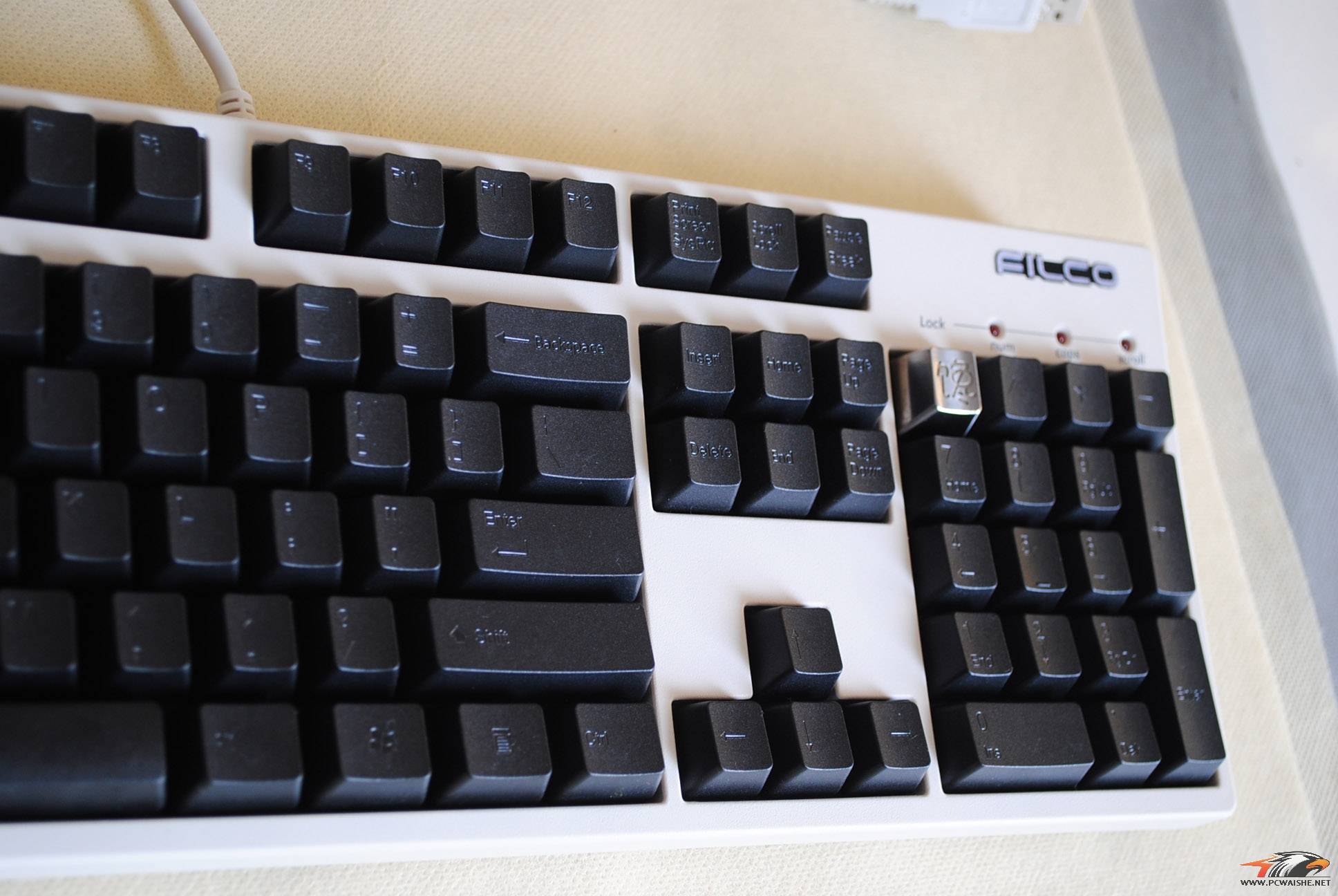 ����è�������ؿ�һ������˾��������ҵ��ֻ��������ˣ�filco�׺�ڰ���~~~
