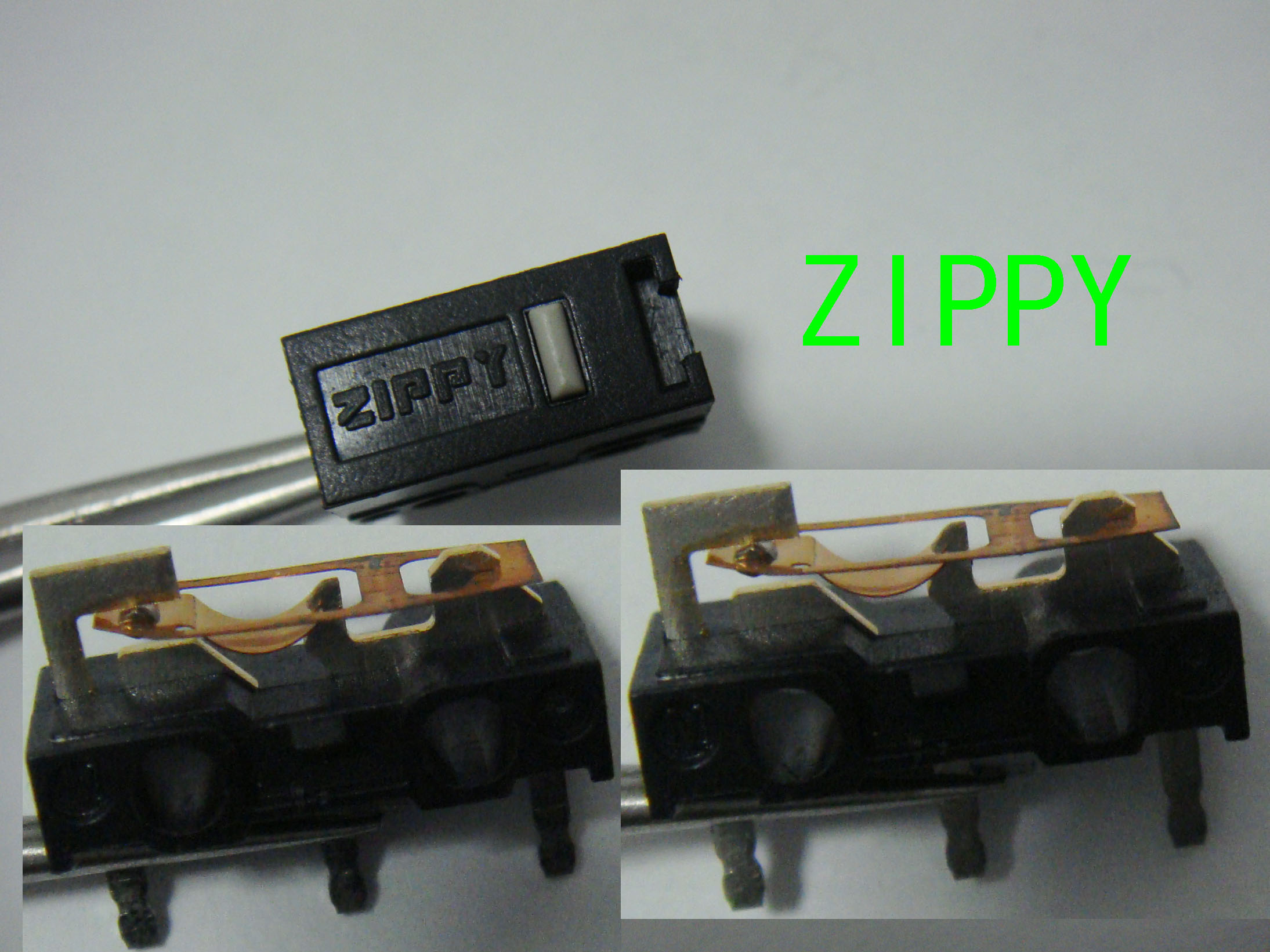 Zippy.jpg