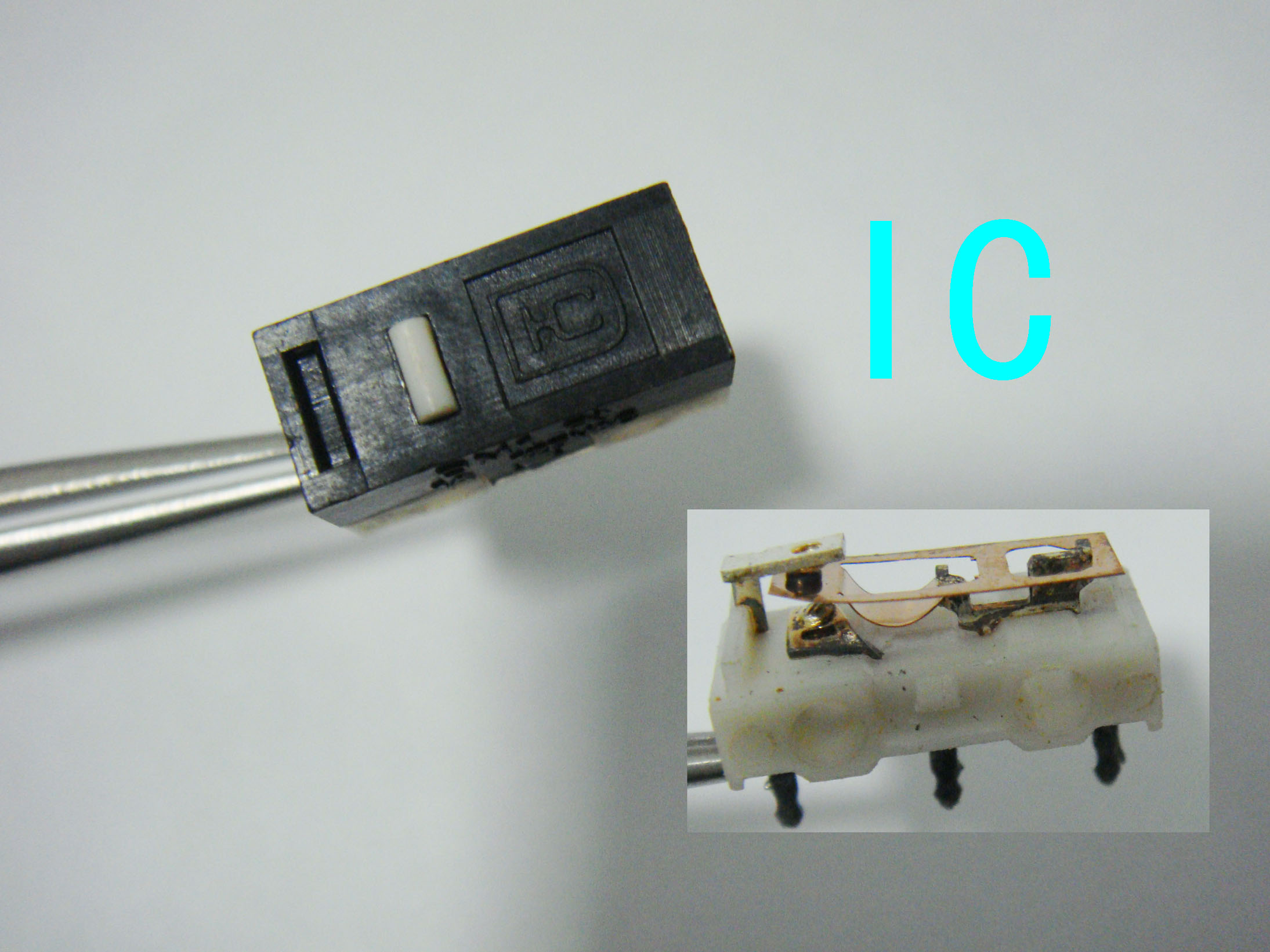 IC.jpg