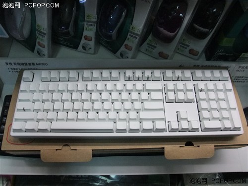 9008.jpg