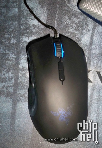 �ѳ�...�����ã�280���ʣ���������һֻ ...
