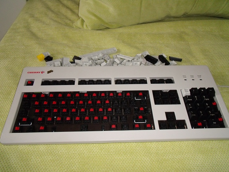DSCF3905.jpg