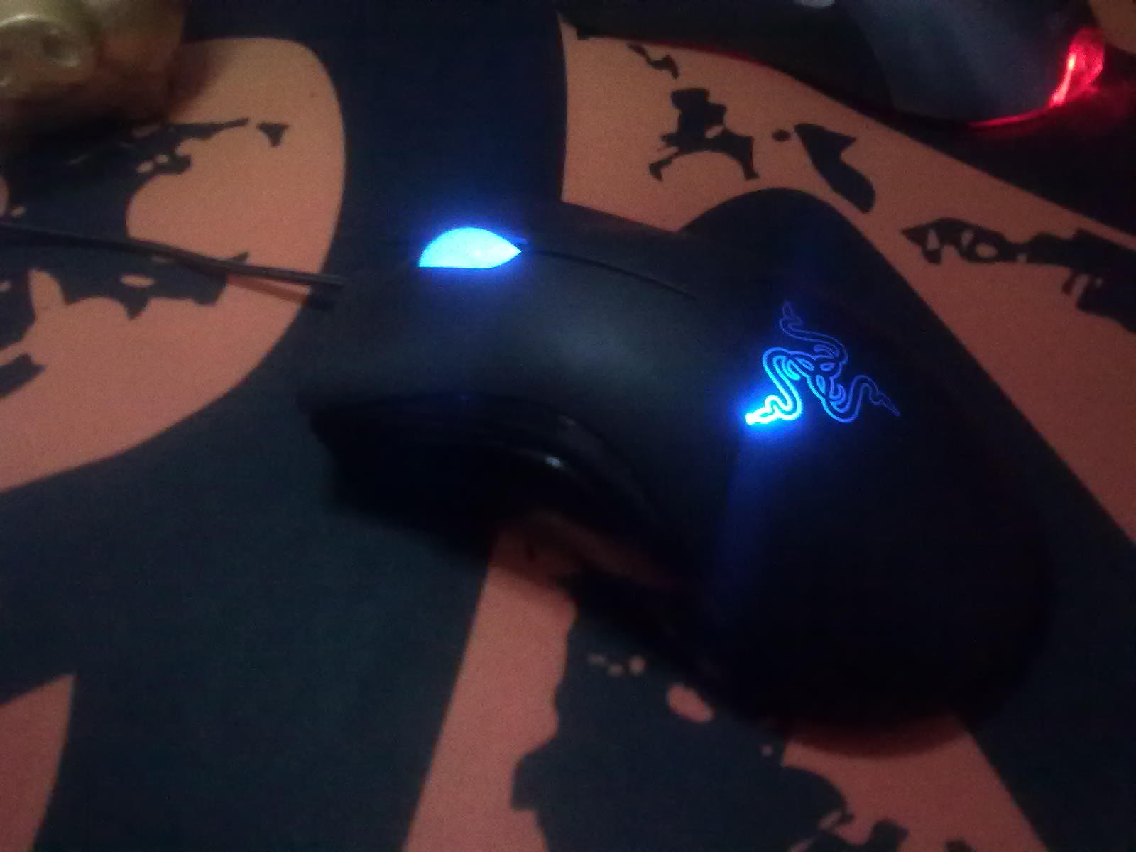 20110406087.jpg