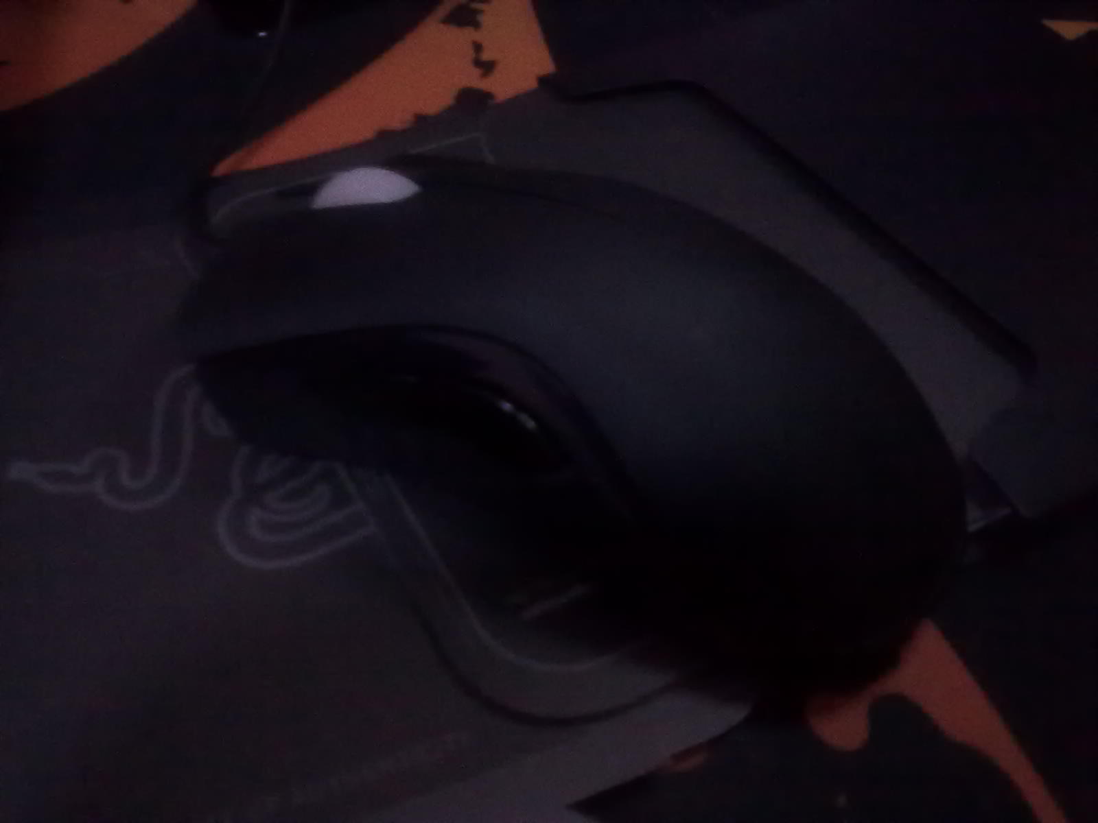 20110406081.jpg