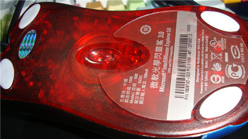 DSC03556_.jpg