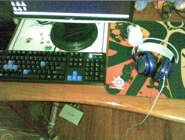 321.jpg