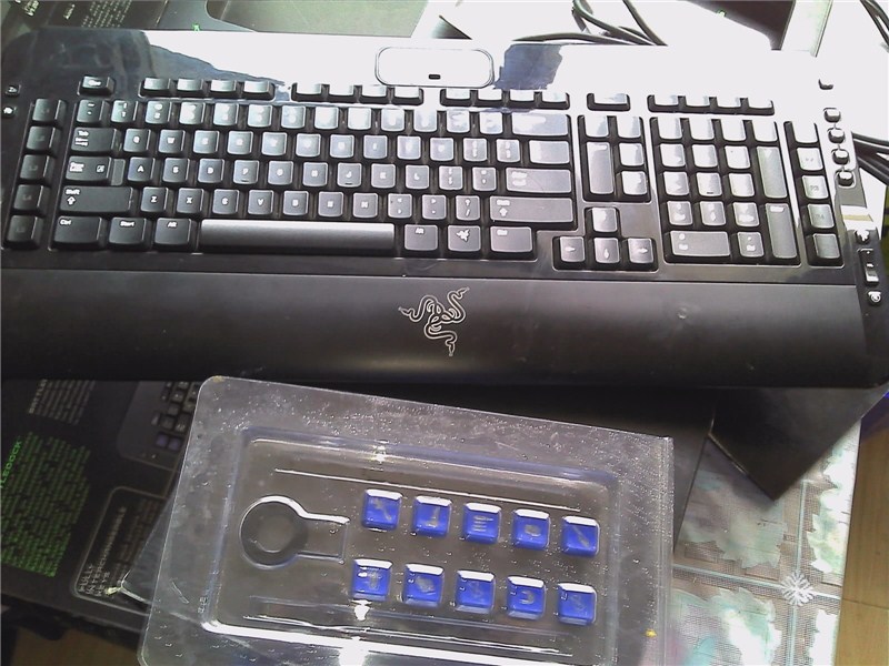 ��������Tarantula���루���Ե���