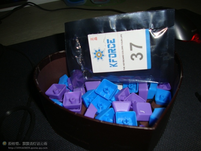 31.jpg