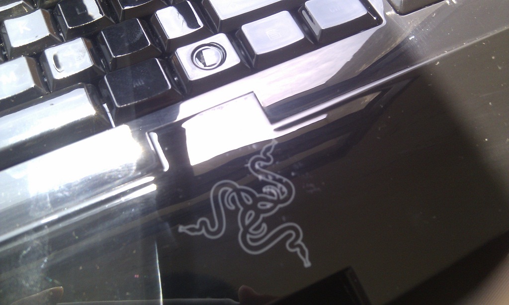 IMAG0099.jpg