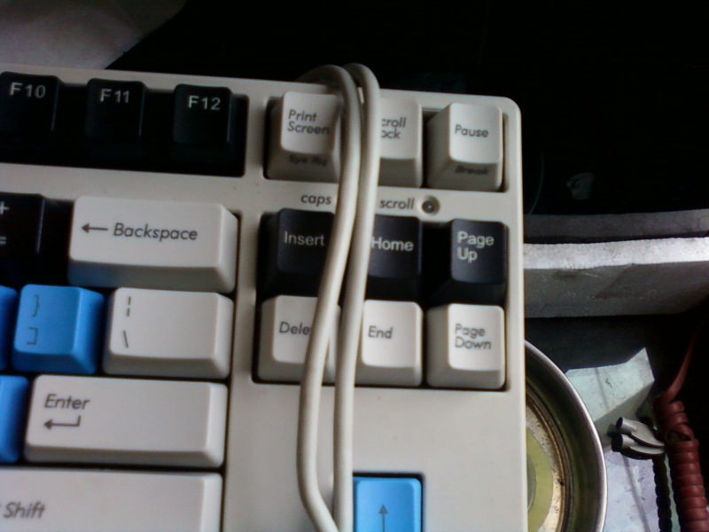 ���һ���Ե� FILCO 87�ײ�  600����