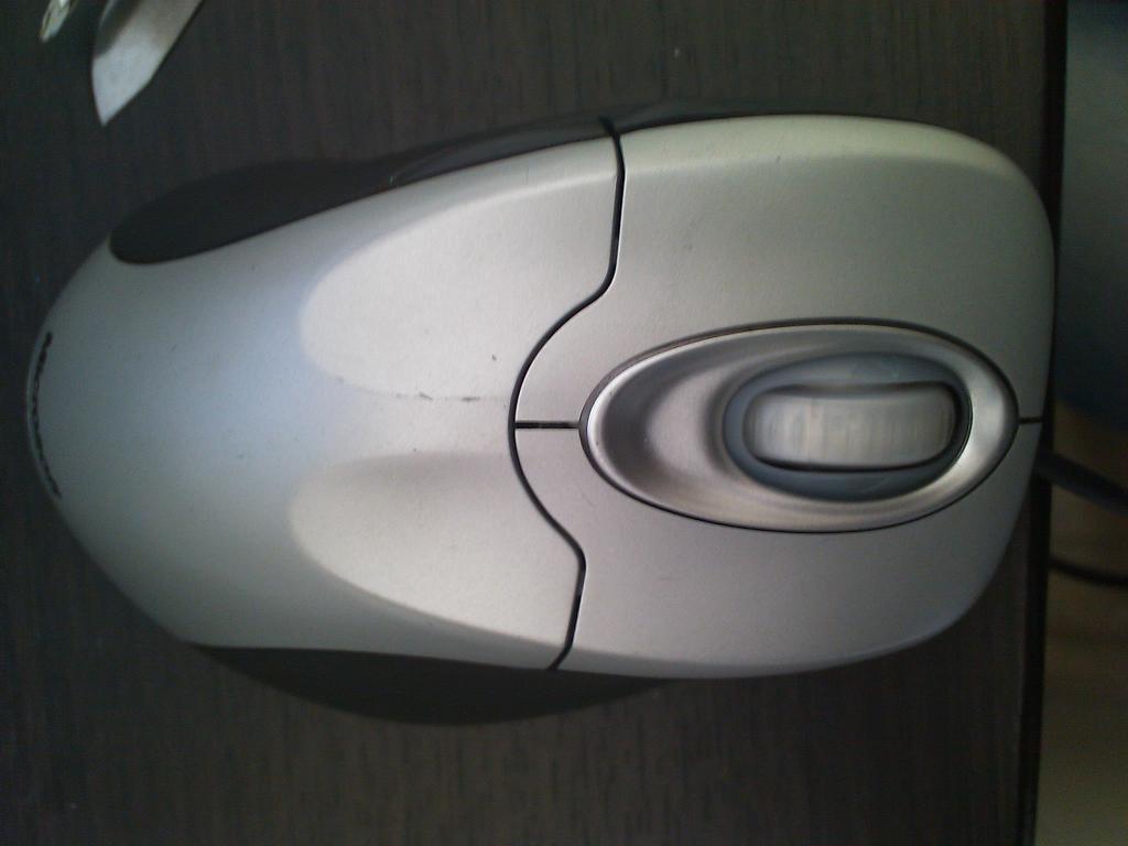 ��΢��IE4.0(��ɫ�����޼�M215����ɫ������ͼ�ˡ���