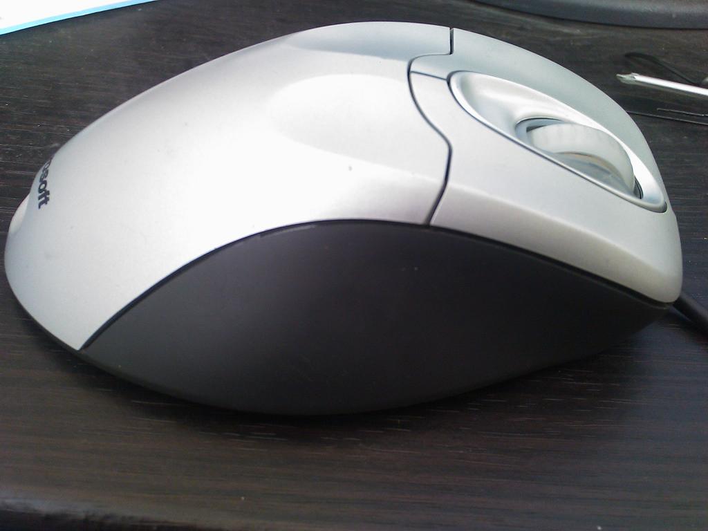 ��΢��IE4.0(��ɫ�����޼�M215����ɫ������ͼ�ˡ���