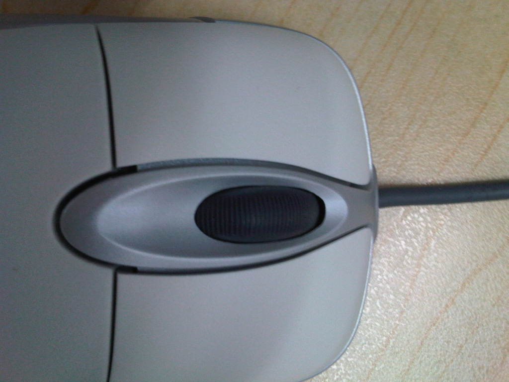 IMG00232-20110414-1310.jpg