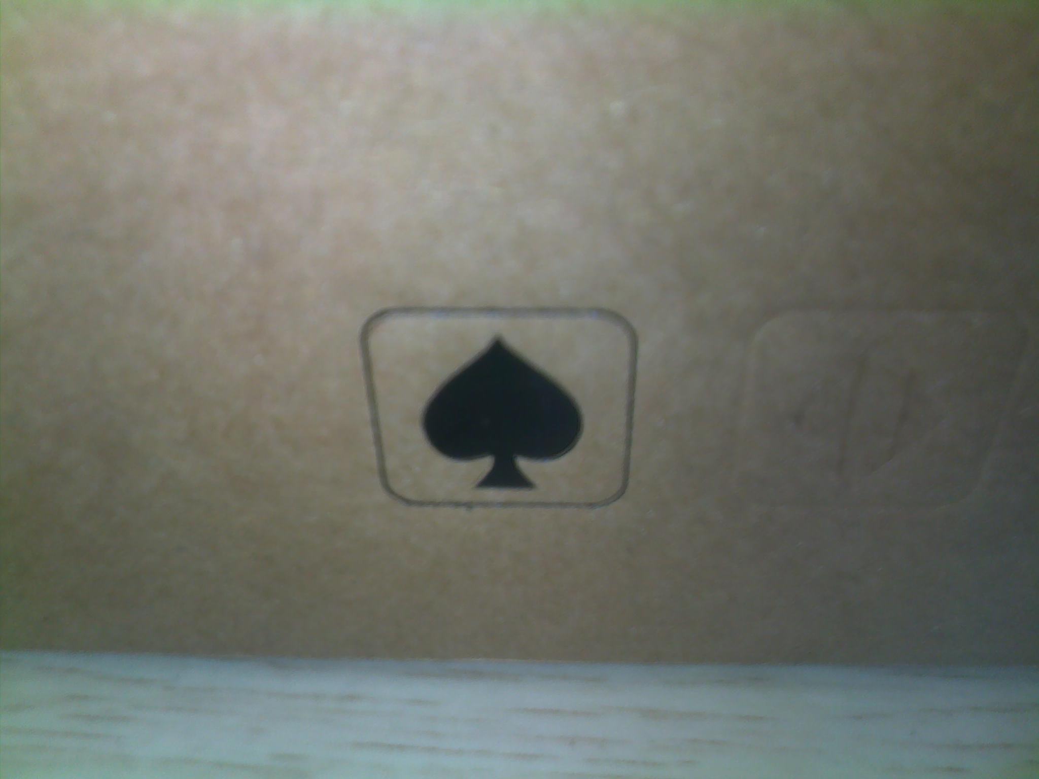 20110415252.jpg