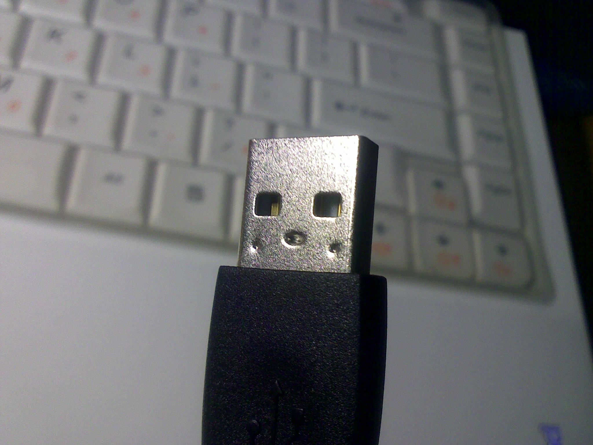 20110415015.jpg