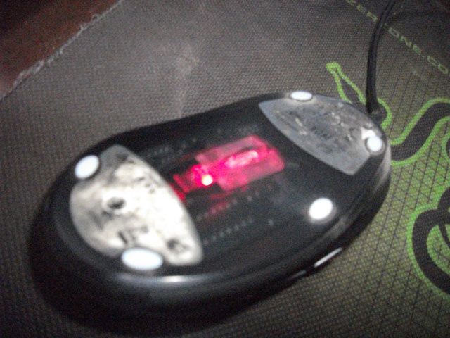 1111.jpg